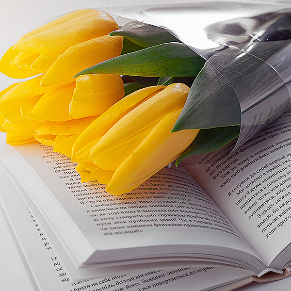 Printed Parchment Paper-Printed Parchment Paper-Shandong Jusheng Paper Co., Ltd.